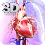 Logo of Circulatory System Anatomy android Application 