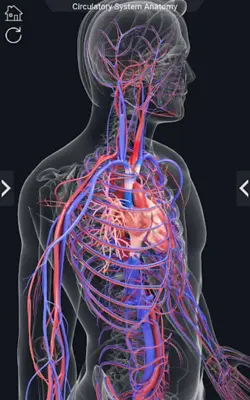 Circulatory System Anatomy android App screenshot 1