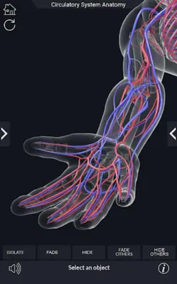 Circulatory System Anatomy android App screenshot 3