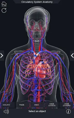 Circulatory System Anatomy android App screenshot 5