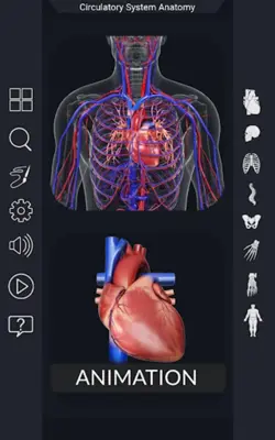 Circulatory System Anatomy android App screenshot 7